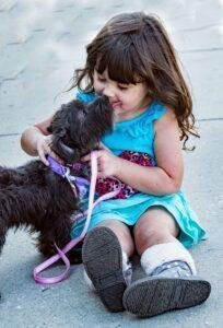 Dachshund Love to Play 