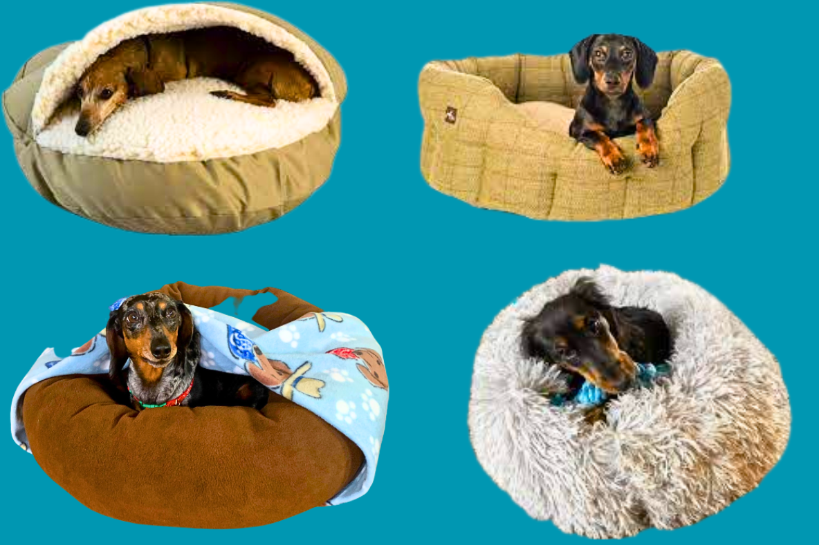 Best Beds for Dachshunds