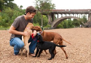 Piedmont Park Dog Park