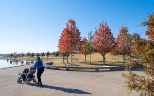 Curtis Hixon Waterfront Dog Park